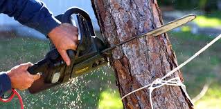 Best Lawn Watering Services  in Stockton, UT