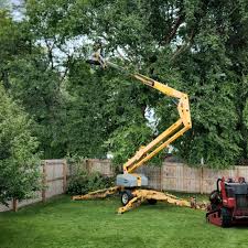 Best Artificial Turf Installation  in Stockton, UT