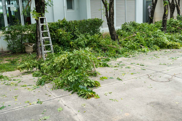 Best Seasonal Cleanup (Spring/Fall)  in Stockton, UT