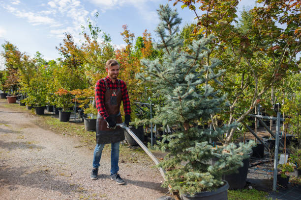 Best Hazardous Tree Removal  in Stockton, UT
